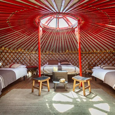 Hobo Курмайор