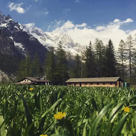 Кемпинг Hobo *