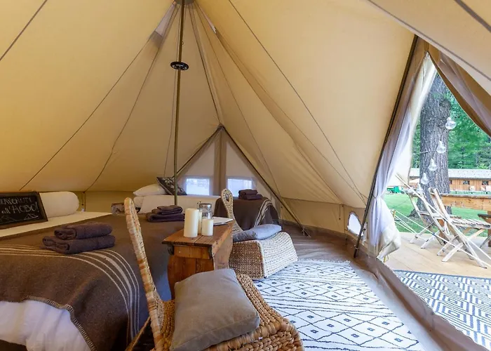 Hobo * كورمايور